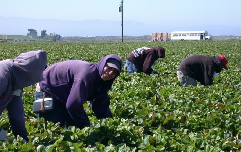 Работа за границей: как не попасть в трудовое рабство