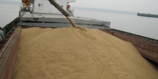 Экспорт саратовского зерна увеличился на 46 процентов