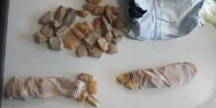 Более 2 кг янтаря обнаружили уссурийские таможенники