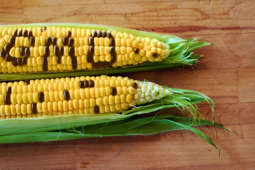 Продукты с ГМО становятся заметнее