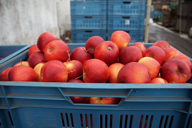Запрет на импорт фруктов из Китая с 10.08.19 введен Россельхознадзором