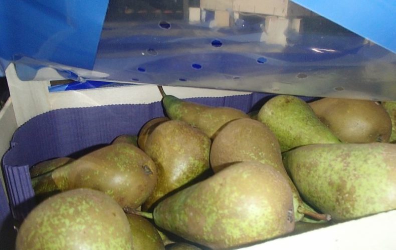 Санкционные фрукты - в Ижевске выявлено более 700 кг груш