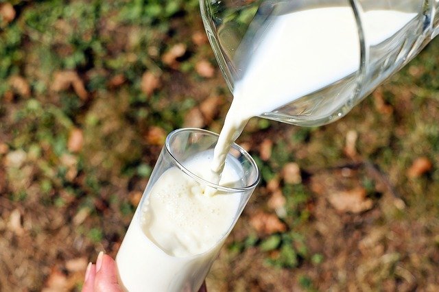 Производители смогут выпускать восстановленное молоко под названием «восстановленное молоко»
