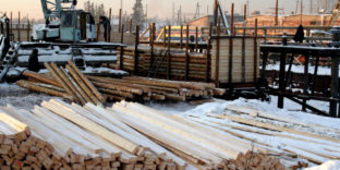 По итогам 2020 года Иркутской таможней на канале экспорта леса выявлено 28 преступлений и более тысячи правонарушений