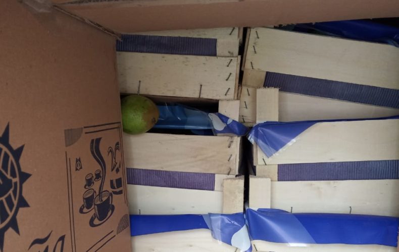 Смоленские таможенники задержали 60 тонн груш, перемещаемых с сокрытием
