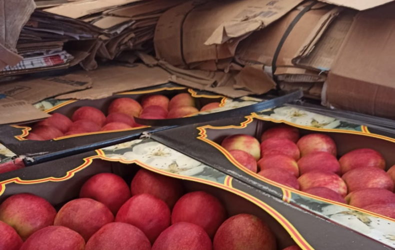 Смоленские таможенники задержали 2 автомобиля с 40 тоннами фруктов, «замаскированными» под лимонад и макулатуру
