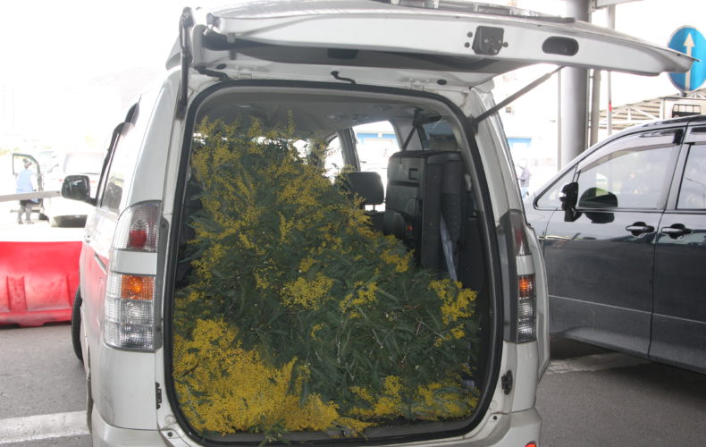 На российско-абхазской границе пресечен незаконный ввоз крупных партий цветочной продукции