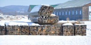 Читинские таможенники выявили организованную преступную группу, которая занималась контрабандой лесоматериалов ценных пород в Китай