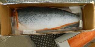 Более 100 кг рыбы «спрятались» среди креветок