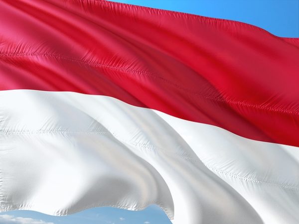 Вебинар «Развитие торгово-экономических отношений Евразийского экономического союза с Республикой Индонезия»