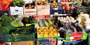 Астраханские таможенники выявили более 4,4 тонны овощей и фруктов неизвестного происхождения