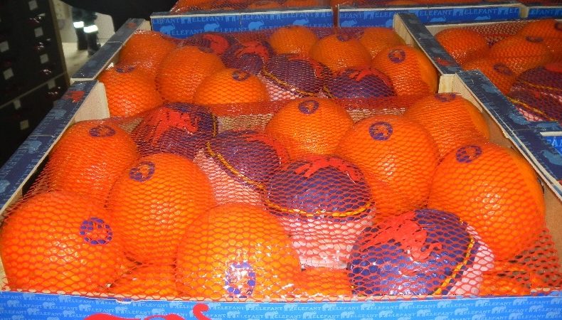 Более 30 тонн овощей и фруктов уничтожено на полигоне