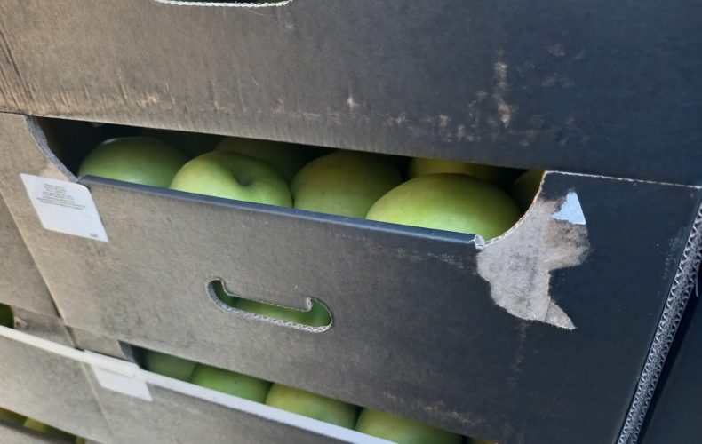 На границе с Казахстаном выявлено 20 тонн санкционных польских яблок