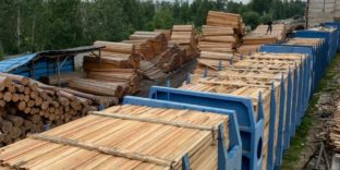 Сибирская оперативная таможня пресекла контрабанду древесины на 150 млн рублей