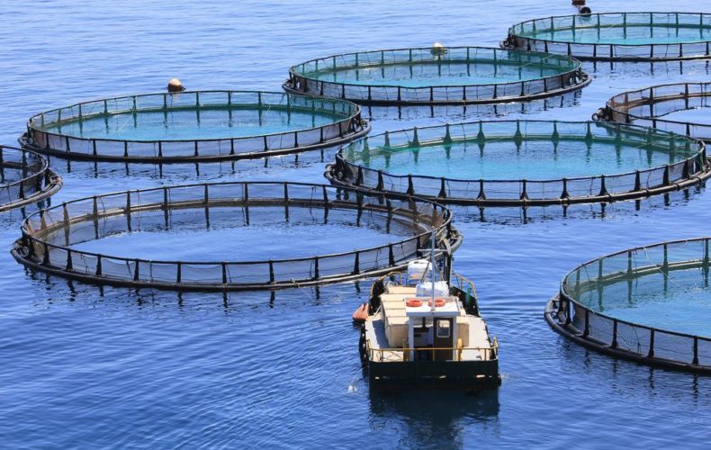 Устойчивое развитие аквакультуры – на повестке дня стран ЕАЭС