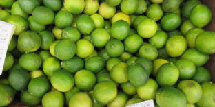 В Башкирии таможенники в рамках рейдов по безопасности пищевой продукции обнаружили партию лаймов из Бразилии