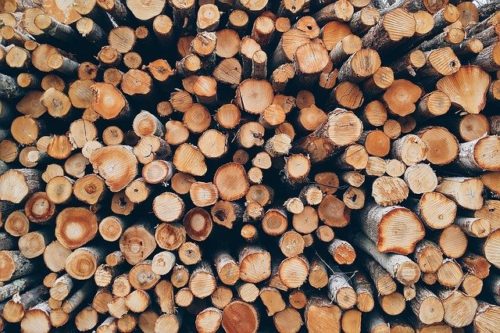 Вниманию участников ВЭД осуществляющих торговлю древесиной