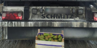 Самарские таможенники задержали 19 тонн санкционных бельгийских груш