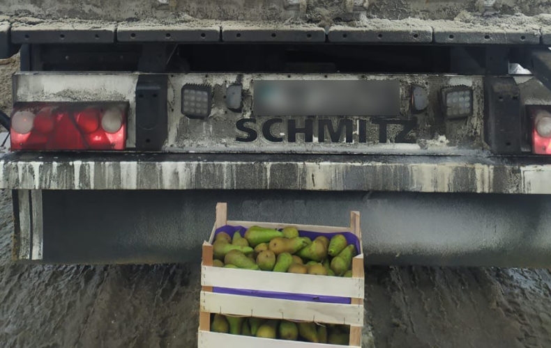 Самарские таможенники задержали 19 тонн санкционных бельгийских груш