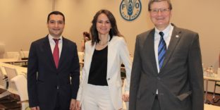 Армен Арутюнян представил ФАО предложения по развитию сотрудничества