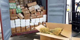 Новороссийские таможенники обнаружили в контейнере из Узбекистана более тонны наркосодержащего растения