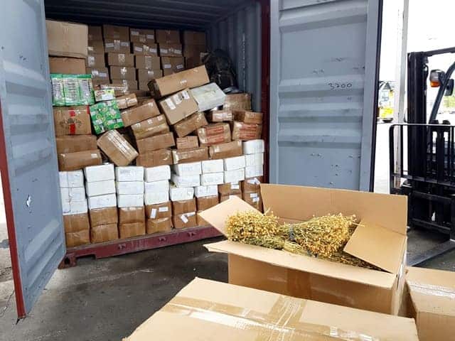 Новороссийские таможенники обнаружили в контейнере из Узбекистана более тонны наркосодержащего растения