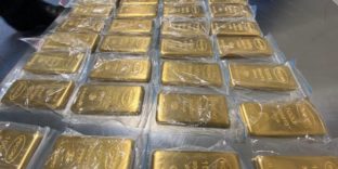 Во Внуково таможенники пресекли контрабанду золотых слитков на 800 миллионов рублей