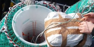 Крабовое мясо и рыбное филе обнаружили сахалинские таможенники на транспортном судне