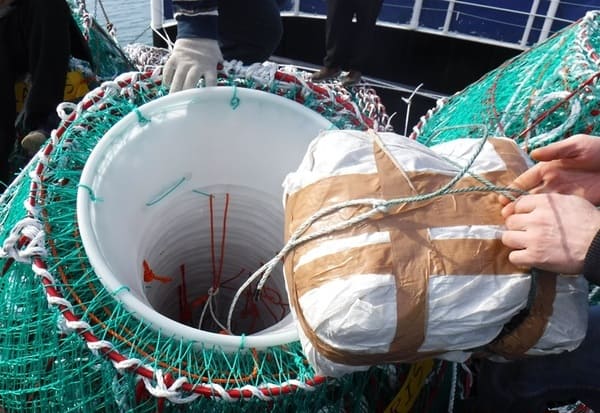 Крабовое мясо и рыбное филе обнаружили сахалинские таможенники на транспортном судне