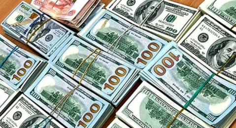 Минераловодские таможенники пресекли контрабанду валюты на более чем 8,5 млн рублей
